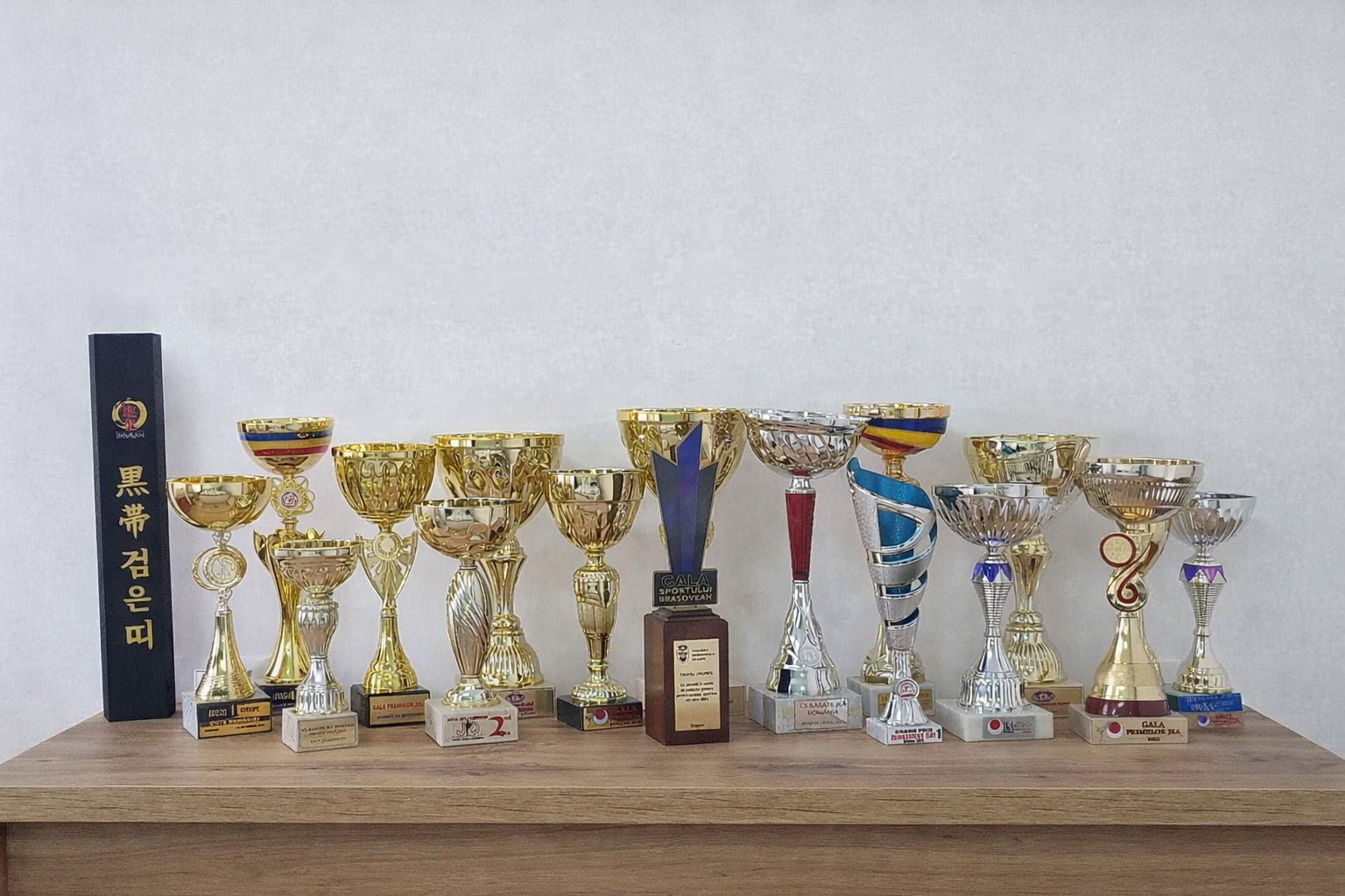 Accolades & Recognition